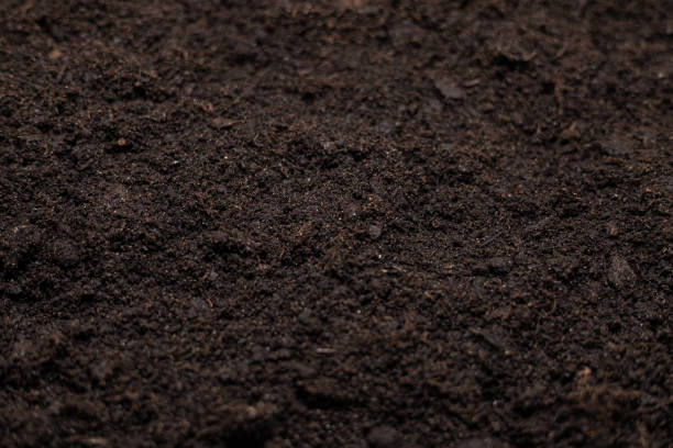 living soil